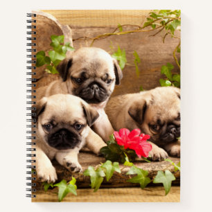 Pug puppies among flowers Spiral Notebook