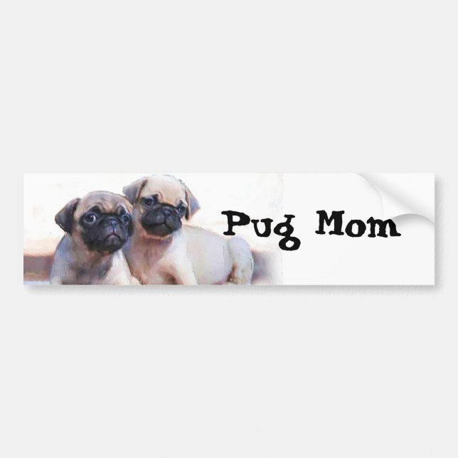 Pug puppies bumper sticker (Front)