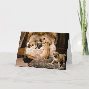 Pug Puppies Card