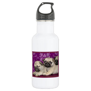 Pug puppies dog 532 ml water bottle