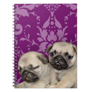 Pug puppies dog notebook
