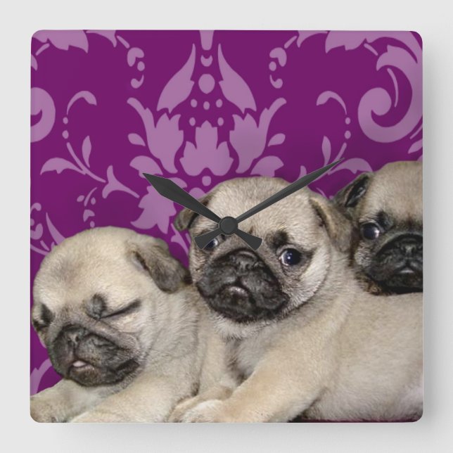 pug puppies dog square wall clock (Front)