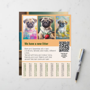 Pug puppies for sale flyer template QR code