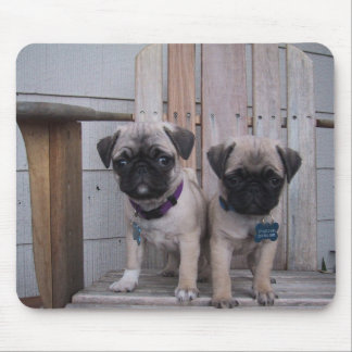 pug puppies mouse mat