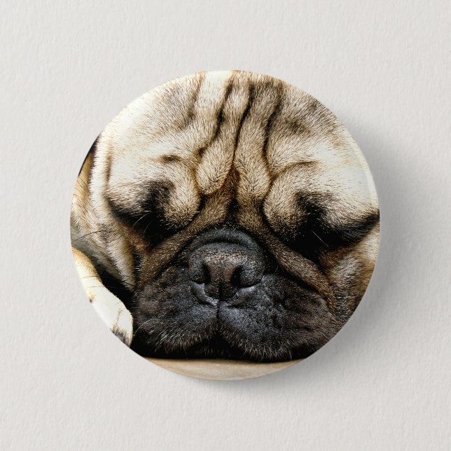 Pug puppy 6 cm round badge (Front)