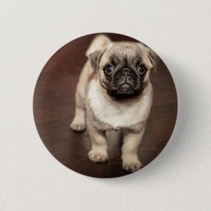 Pug Puppy 6 Cm Round Badge