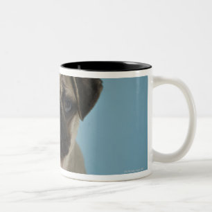 Pug Puppy Against Blue Background Two-Tone Coffee Mug