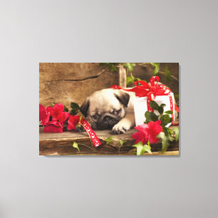 Pug Puppy and Gift Box Canvas Print