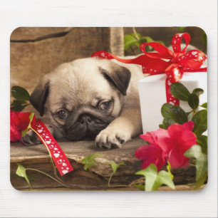 Pug Puppy and Gift  Box Mouse Mat