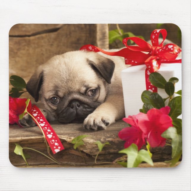 Pug Puppy and Gift  Box Mouse Mat (Front)