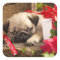 Pug Puppy and Gift  Box