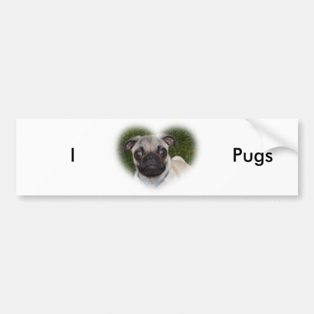 Pug Puppy Bumper Sticker (Front)