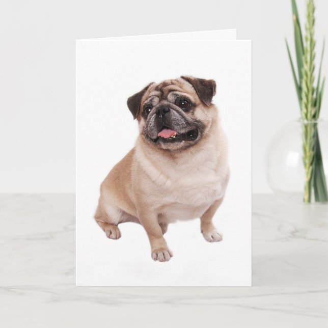Pug Puppy Dog Blank Greeting  Note Card (Front)