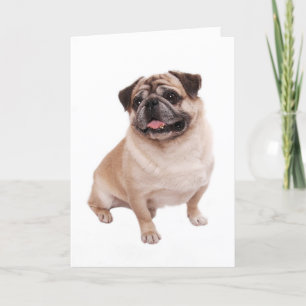 Pug Puppy Dog Blank Greeting  Note Card