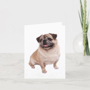 Pug Puppy Dog Blank Greeting  Note Card