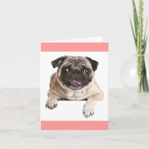 Pug Puppy Dog Blank Greeting Note Card