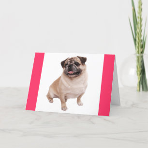 Pug Puppy Dog Blank Greeting Pink  Note Card