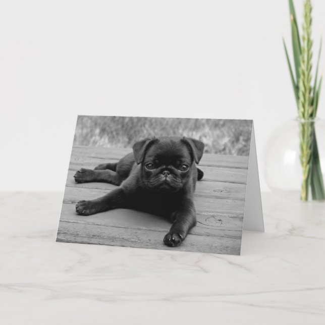 Pug Puppy Dog Blank Note Card (Front)