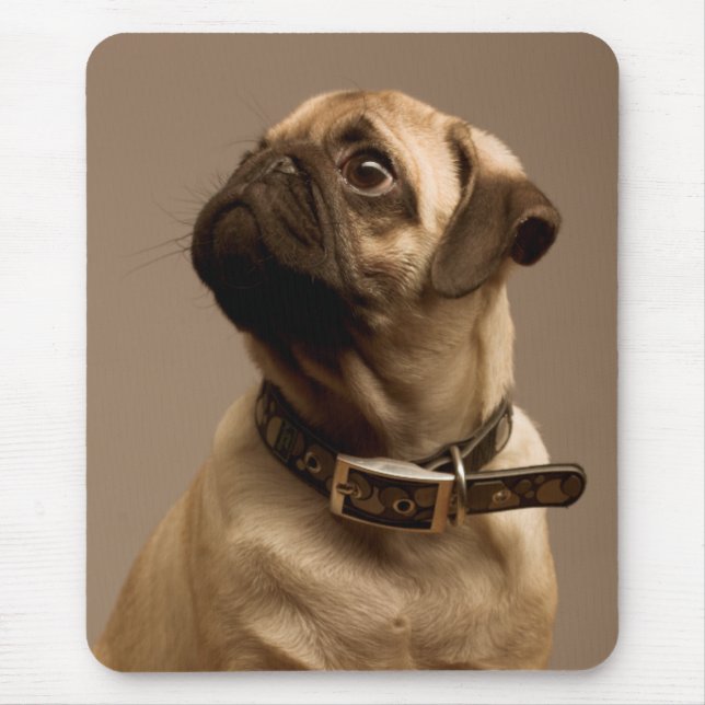 Pug Puppy Dog Canine Computer Mousepad (Front)