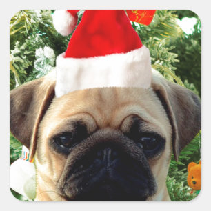Pug Puppy Dog Christmas Tree Ornaments Snowman Square Sticker