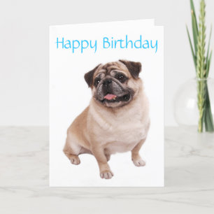 Pug Puppy Dog  Happy Birthday Card - Verse inside