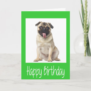 Pug Puppy Dog  Happy Birthday Card - Verse inside