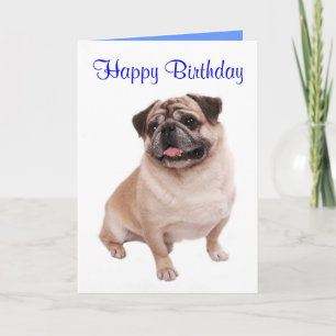 Pug Puppy Dog  Happy Birthday Card - Verse inside