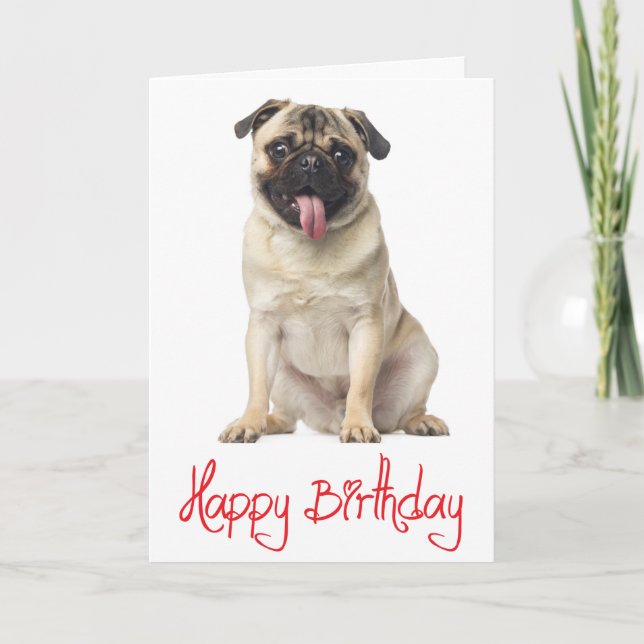 Pug Puppy Dog  Happy Birthday Card - Verse inside (Front)