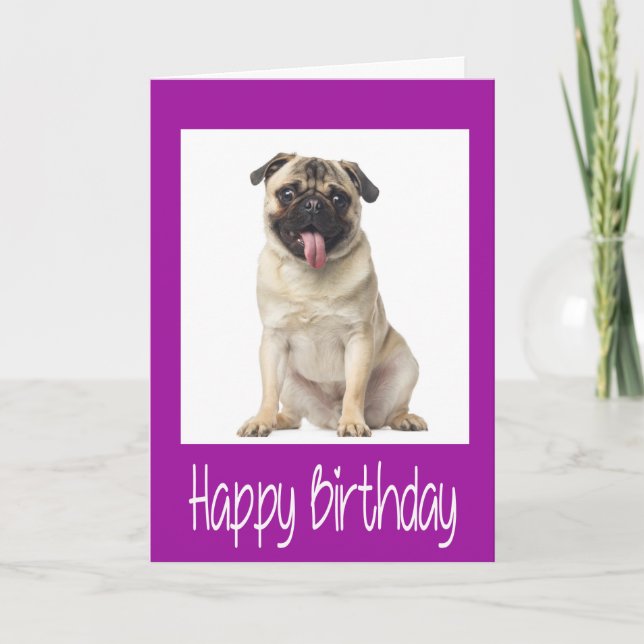 Pug Puppy Dog  Happy Birthday Card - Verse inside (Front)