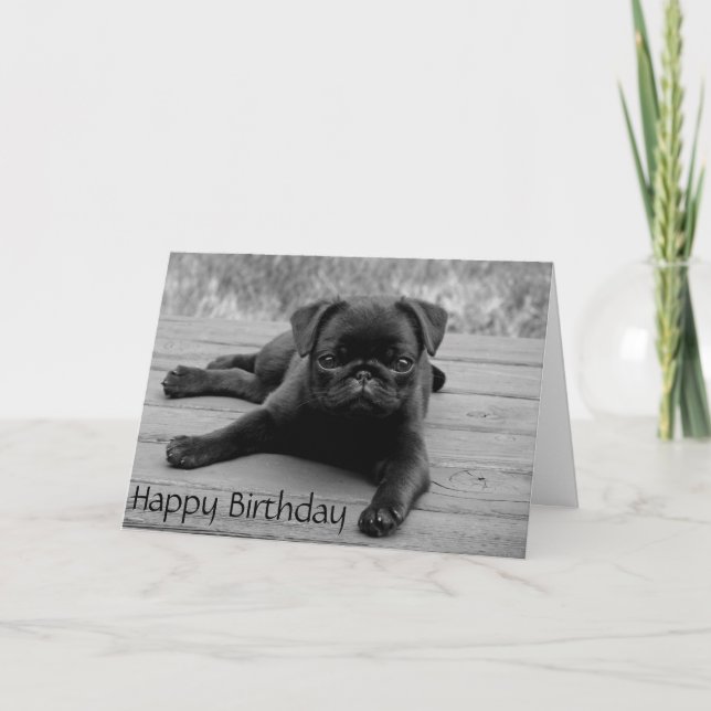 Pug Puppy Dog  Happy Birthday Card - Verse inside (Front)