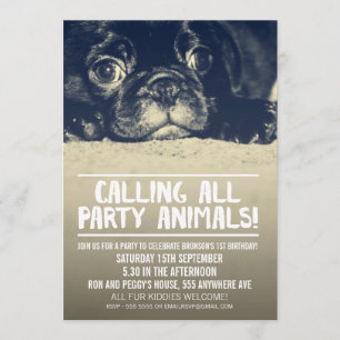Pug Puppy Dog Party Invite [Full Bleed Photo]