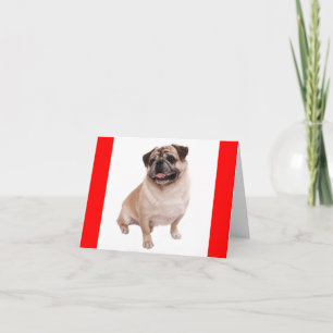 Pug Puppy Dog Red Greeting Blank Notecard