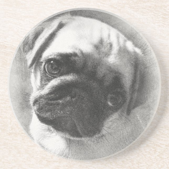 Pug Puppy Dog Sketch Coaster (Front)