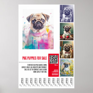 Pug puppy for sale poster templates