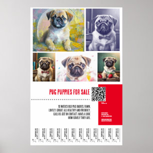 Pug puppy for sale poster templates