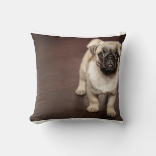 pug-puppy in sepia cushion