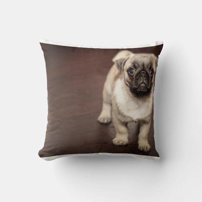 pug-puppy in sepia cushion (Front)