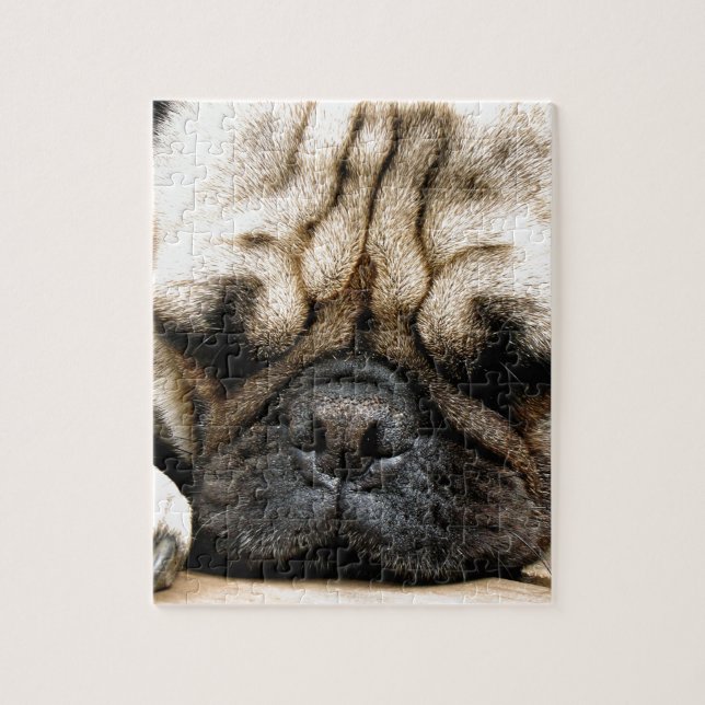 Pug puppy jigsaw puzzle (Vertical)