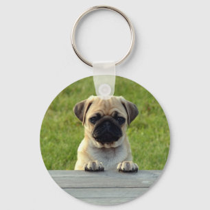 Pug Puppy Key Ring