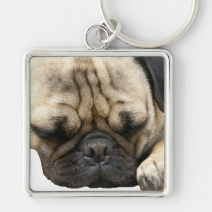 pug puppy key ring