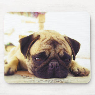 Pug Puppy Laying on the Ground looking Sad Mouse Mat