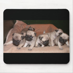 pug puppy mouse mat