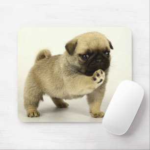 Pug Puppy Mouse Mat