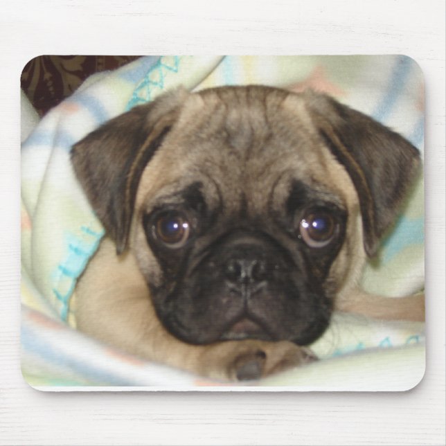 Pug Puppy  Mouse Pad (Front)