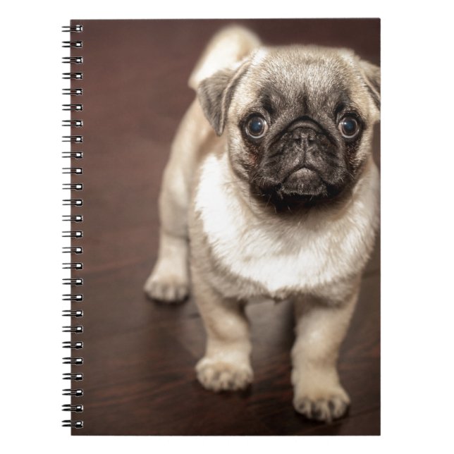 Pug Puppy Notebook (Front)