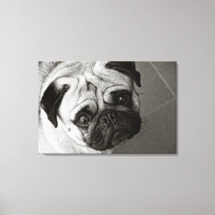 Pug Puppy on Canvas