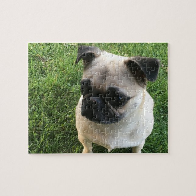 Pug Puppy Photo Jigsaw Puzzle (Horizontal)
