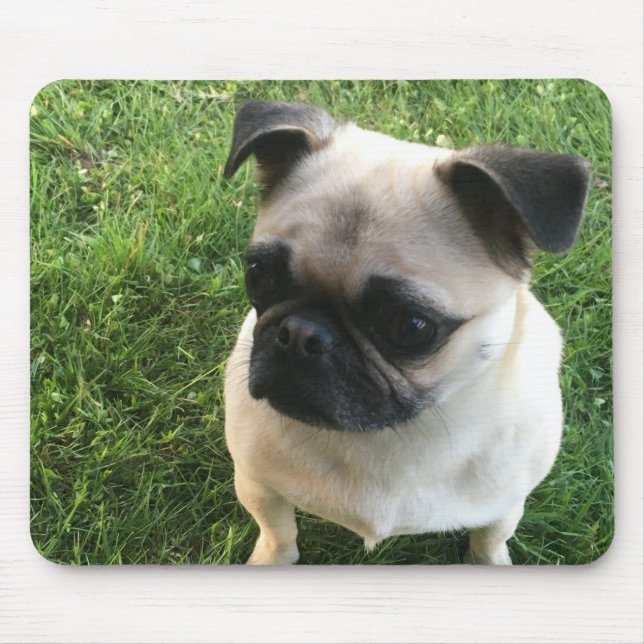 Pug Puppy Photo Mouse Mat (Front)