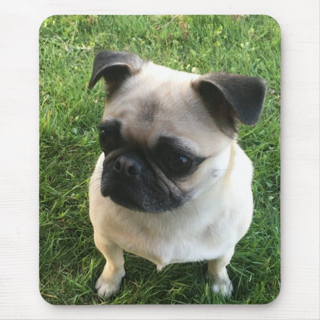 Pug Puppy Photo Mouse Mat (Front)