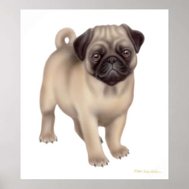 Pug Puppy Print (Front)
